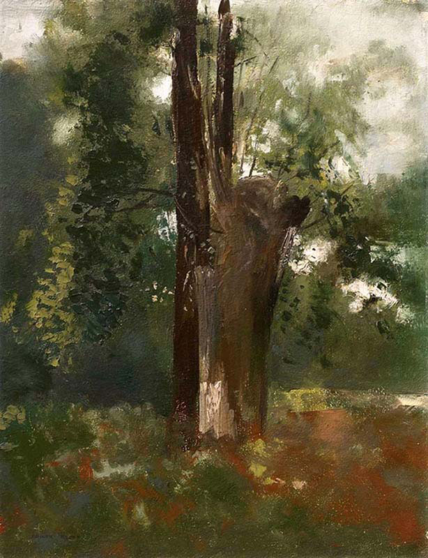 The Tree